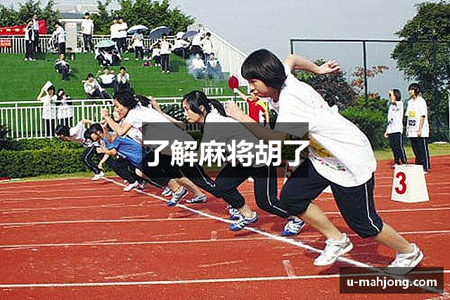 了解麻将胡了